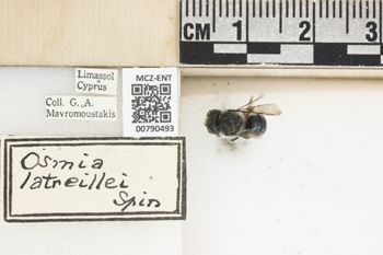 Media type: image;   Entomology 790493 Aspect: Labels